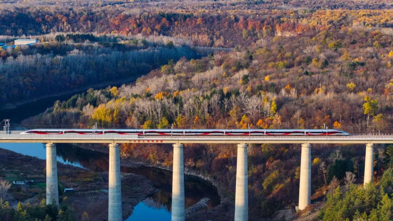 沈白高鐵正式開通運(yùn)營(yíng)。受訪方供圖